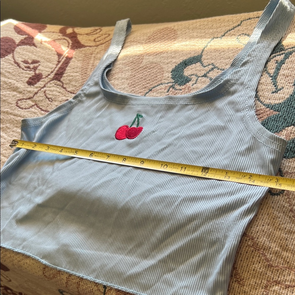 #1023+ Blue Striped Crop Top with Cherry Embroidery - Picture 2 of 7